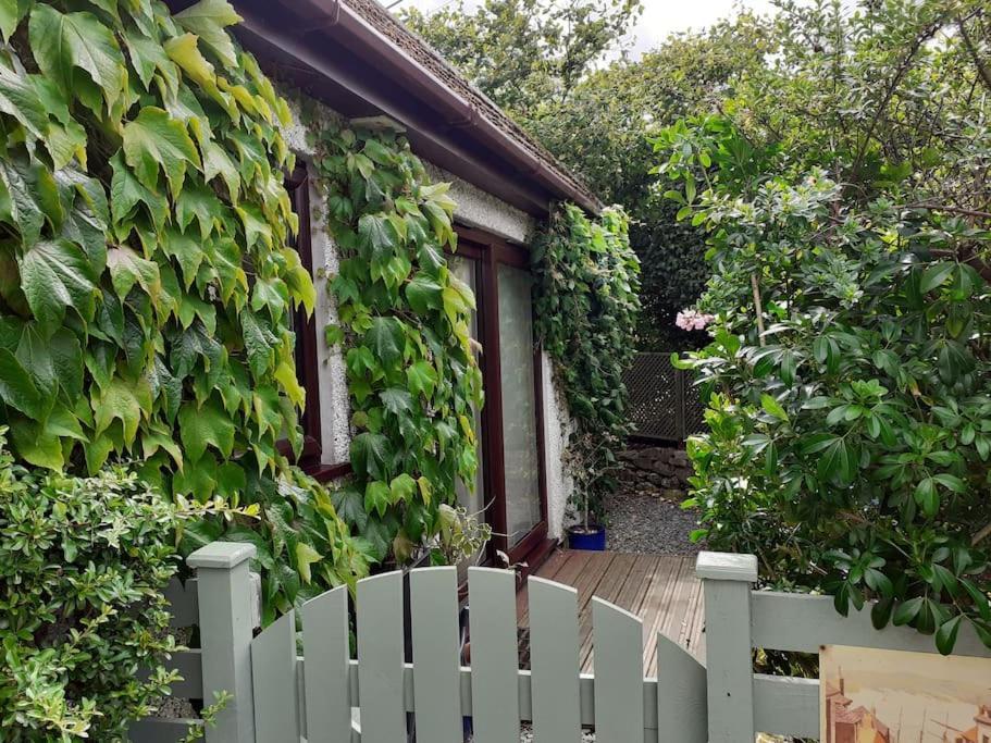 Oakey Orchard - Cosy Apartment In Tamar Valley, Cornwall Saint Dominick Esterno foto