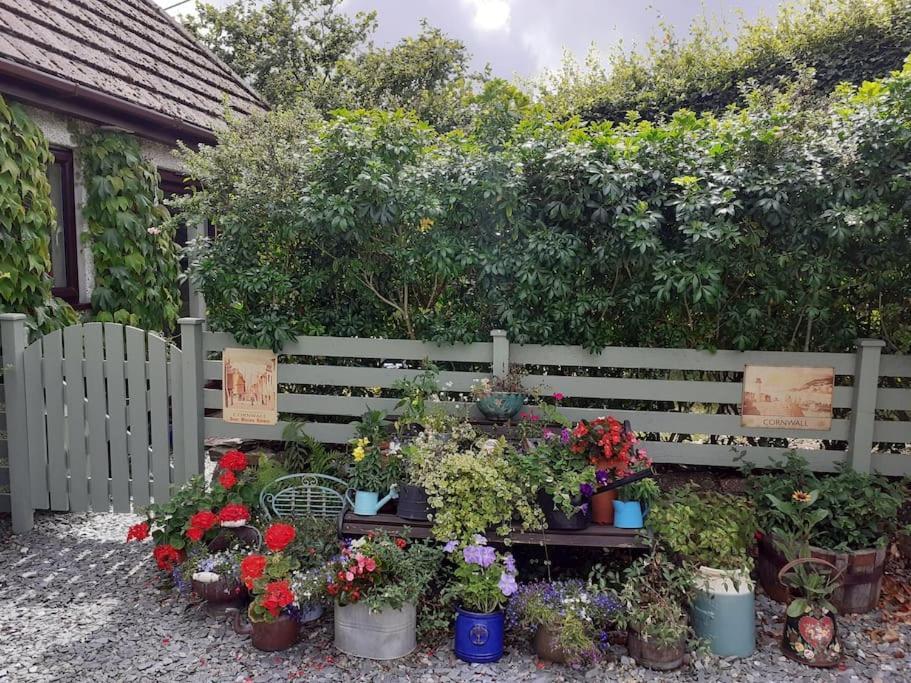 Oakey Orchard - Cosy Apartment In Tamar Valley, Cornwall Saint Dominick Esterno foto